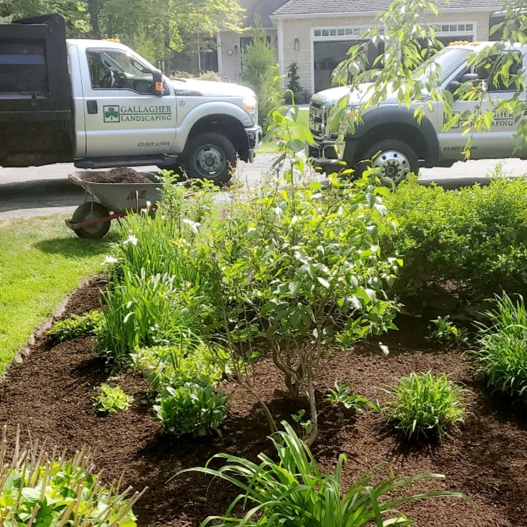 Mulching for Memorial Day Gallagher Landscaping